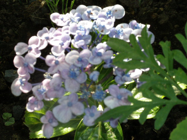 b0157276_10134195.jpg