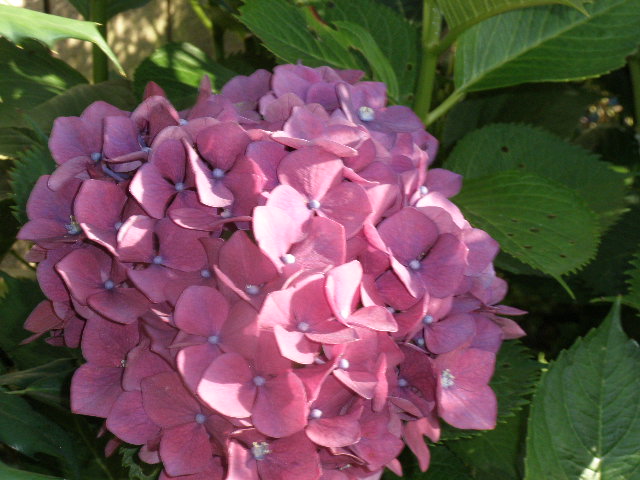b0157276_10135215.jpg