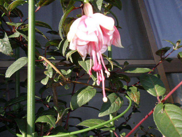 b0157276_1065168.jpg