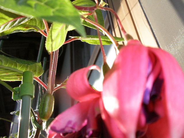 b0157276_1073254.jpg