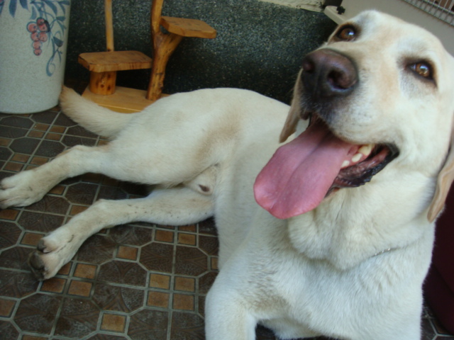 f0207979_01465.jpg