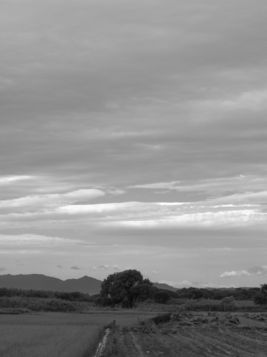 f0121181_273251.jpg