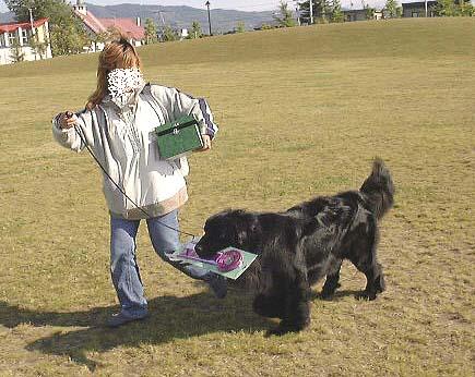 e0162984_22732.jpg