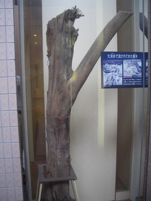 b0118987_65681.jpg