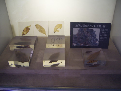 b0118987_66514.jpg