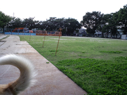 a0123191_1926325.jpg