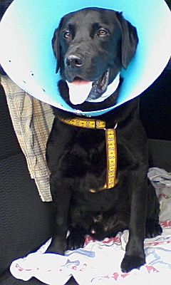 e0046305_1355863.jpg