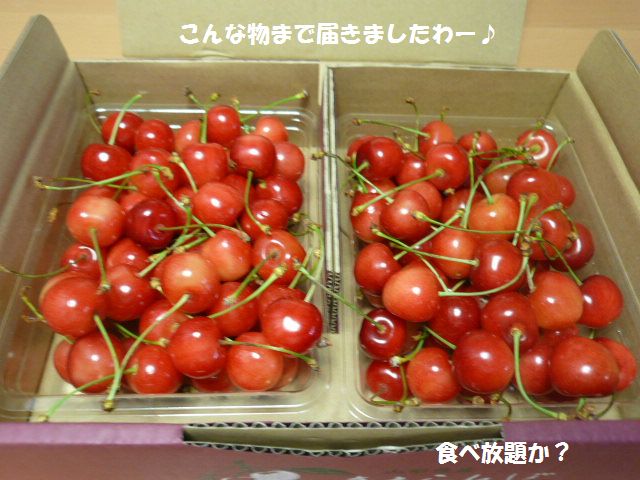 e0094407_1116541.jpg