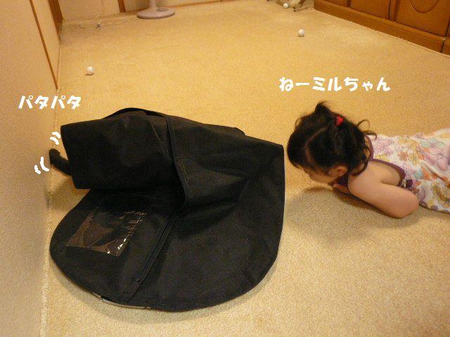 e0094407_1231146.jpg