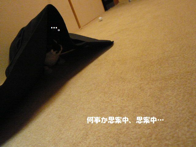 e0094407_129019.jpg