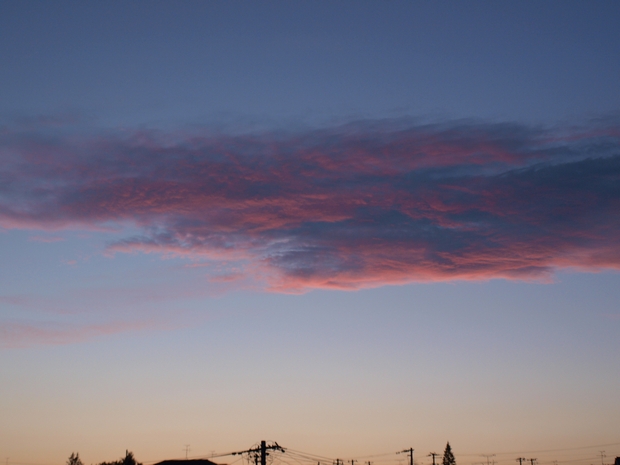 d0144909_12115978.jpg