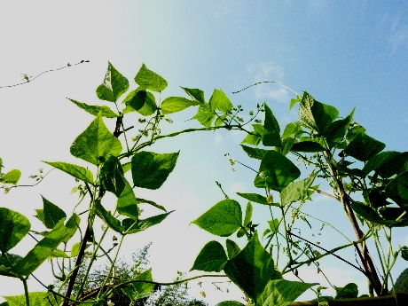 a0080610_173910.jpg