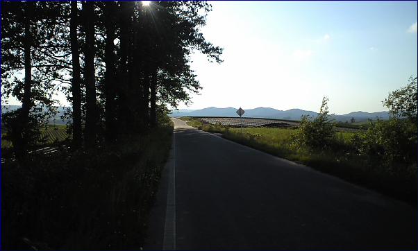 夏!_c0033513_2135582.jpg