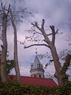 e0027813_99497.jpg