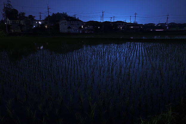 夜の田んぼ デジカメ写真集 夜の田んぼ デジカメ写真集