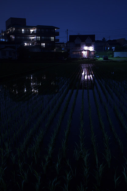 夜の田んぼ デジカメ写真集 夜の田んぼ デジカメ写真集