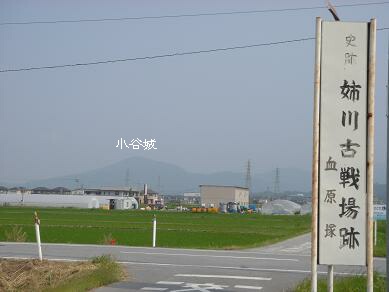 f0000521_8101161.jpg