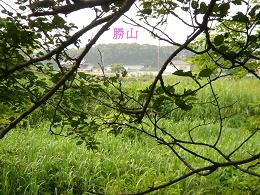 f0000521_8382321.jpg