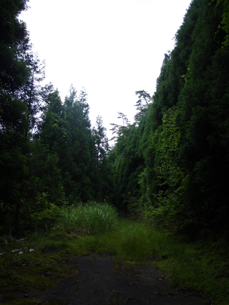 c0189724_21311785.jpg