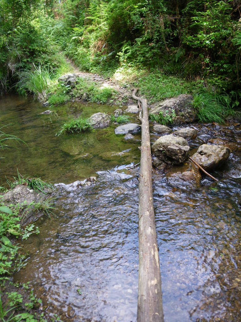 c0189724_2138224.jpg