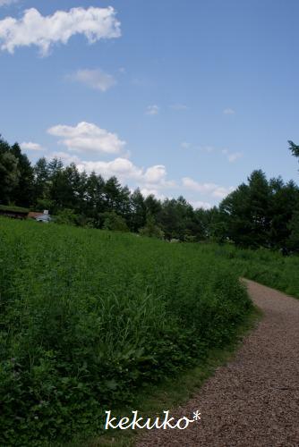 f0170524_20113569.jpg