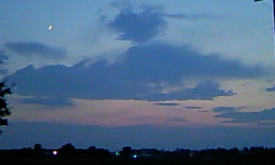 a0117226_2153982.jpg