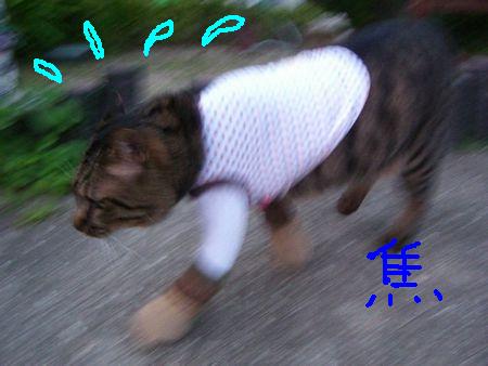a0099131_2341648.jpg
