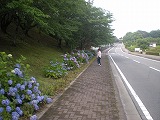 b0014732_20585932.jpg