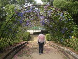 b0014732_20592032.jpg