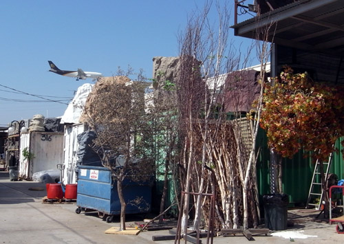 b0188839_1342636.jpg