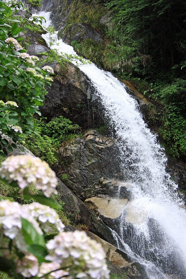 e0077041_1017985.jpg