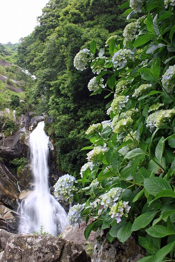 e0077041_10235742.jpg