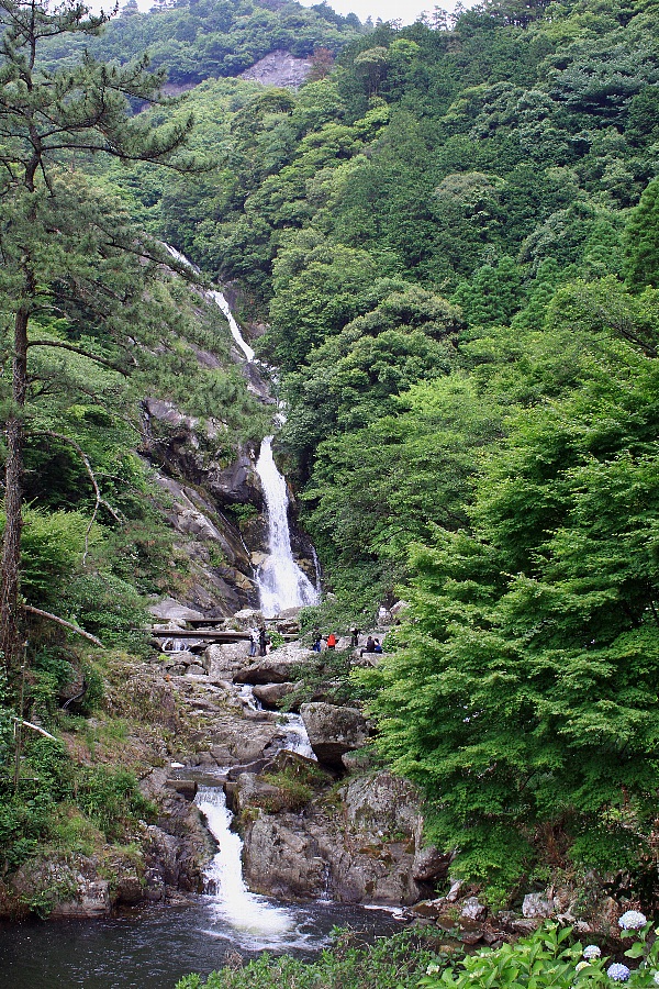 e0077041_10245080.jpg