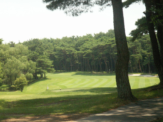 d0094543_21242059.jpg