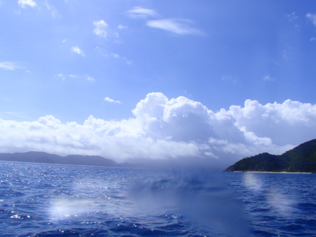 c0142045_11302670.jpg
