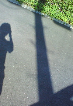 c0180650_16274197.jpg