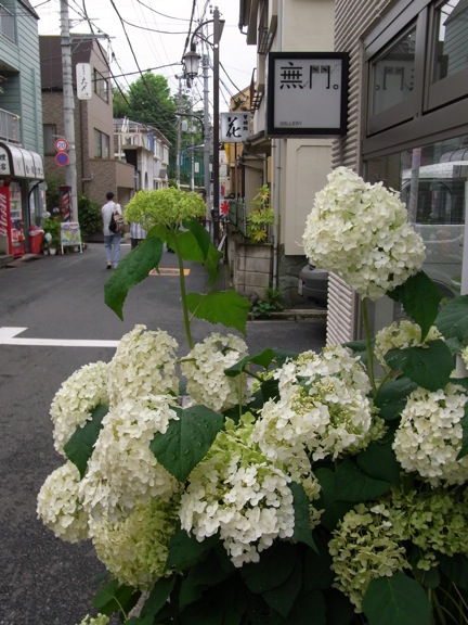 花のある路地_a0130557_20452990.jpg