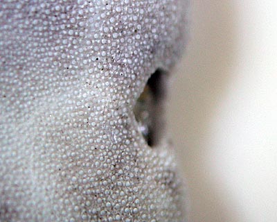 e0035757_21121313.jpg