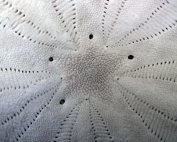 e0035757_2112890.jpg