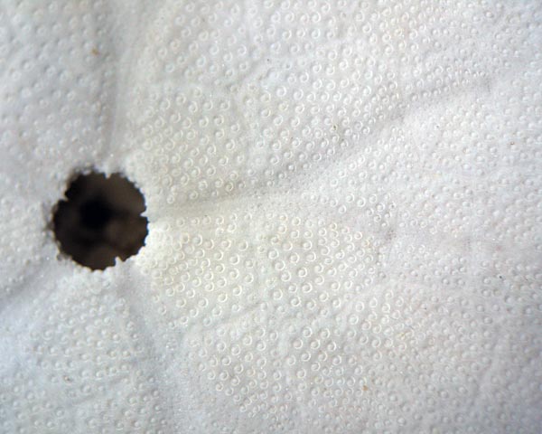 e0035757_21132812.jpg