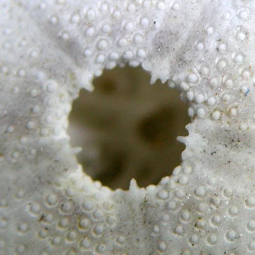e0035757_21135348.jpg