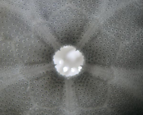 e0035757_21141215.jpg