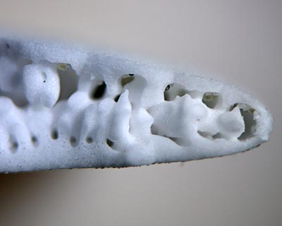 e0035757_2114318.jpg