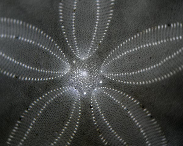 e0035757_2163288.jpg