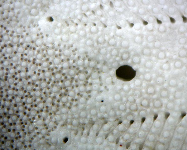 e0035757_2175468.jpg