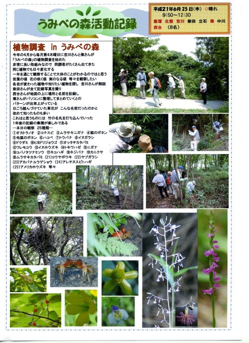 H21年6月度植物調査　in　うみべの森_c0108460_2113017.jpg