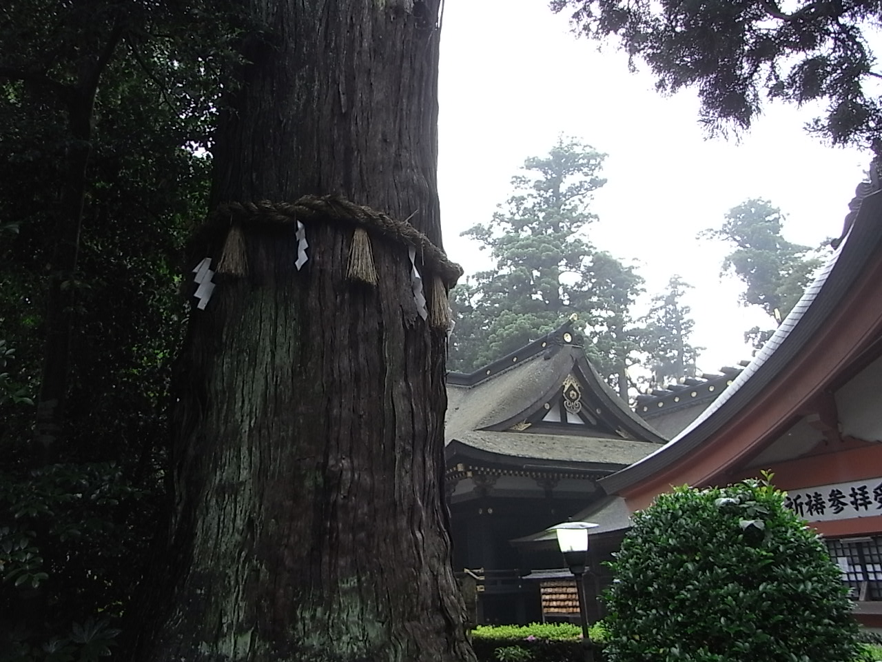 e0152171_3184179.jpg