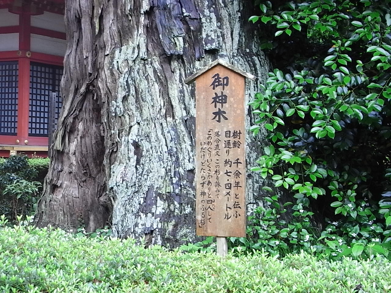 e0152171_3191179.jpg