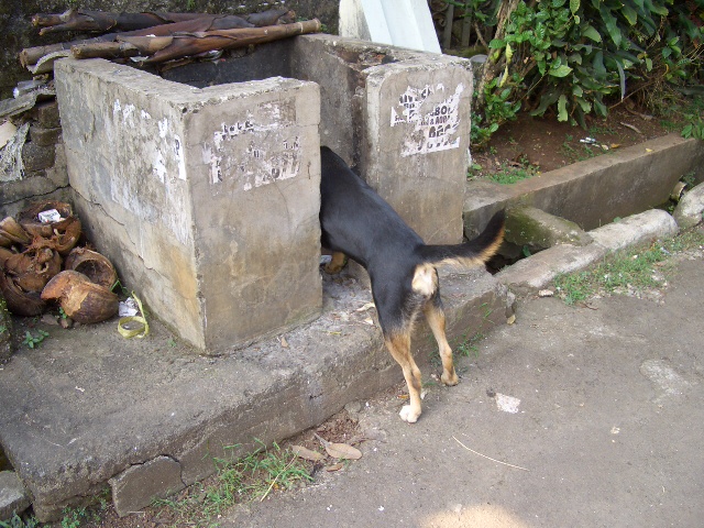 c0175883_22551738.jpg