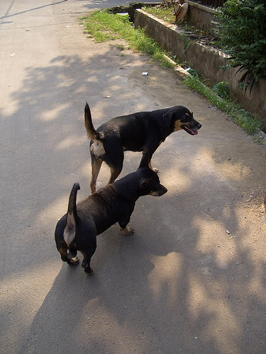 c0175883_231333.jpg